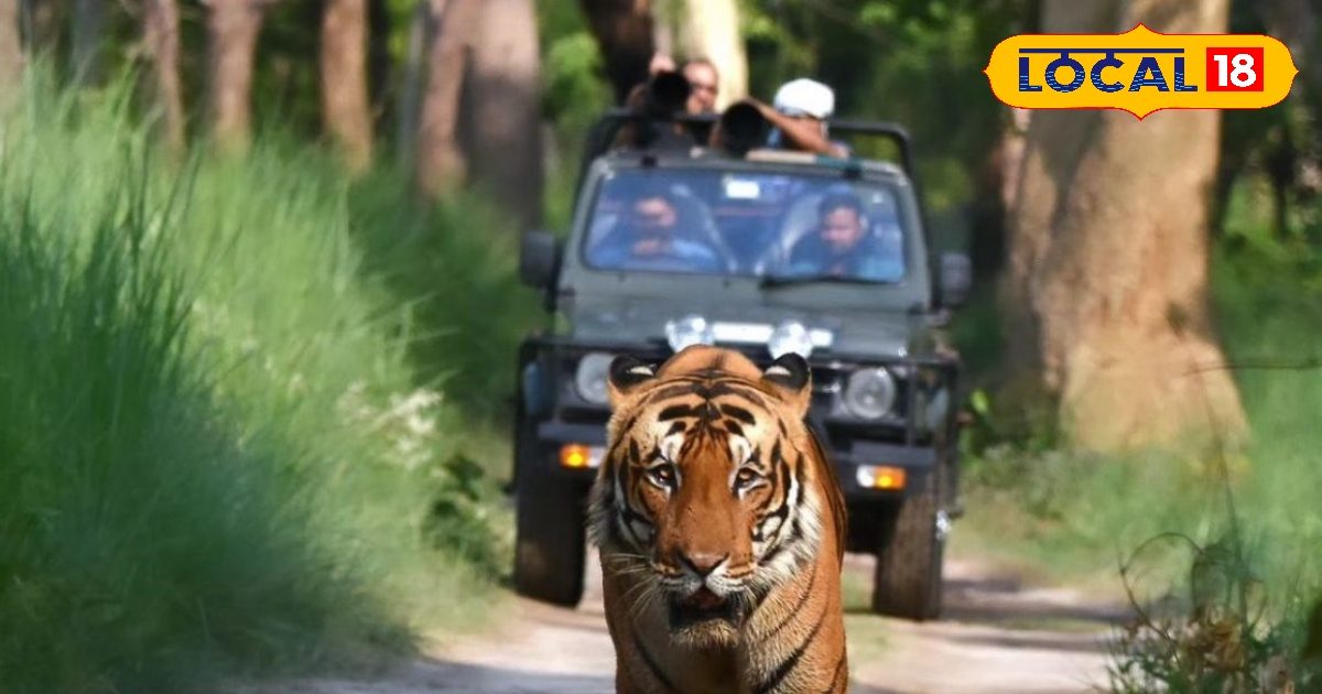 After Tiger Safari in Pilibhit, visit these 5 beautiful spots... 1